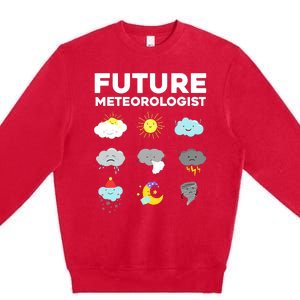 Funny Future Meteorologist Art For Weatherman Premium Crewneck Sweatshirt