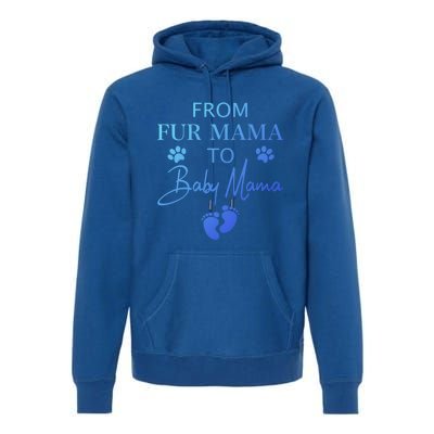 From Fur Mama To Mama Dog Cat Owner New Mom Pregnant Gift Premium Hoodie