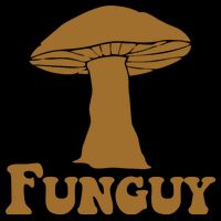 Funguy Funny Mushroom Fun Guy Kids Colorblock Raglan Jersey