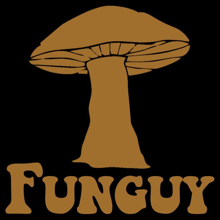 Funguy Funny Mushroom Fun Guy Kids Colorblock Raglan Jersey