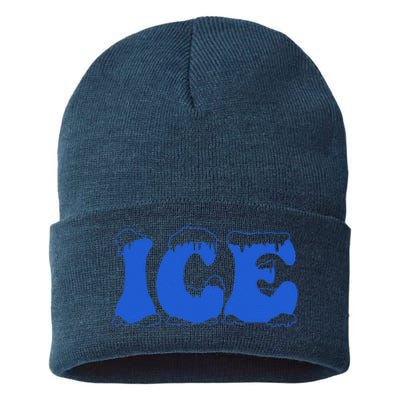 Funny Family Matching Halloween Costume Ice Ice And Baby Sustainable Knit Beanie