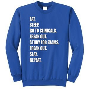 Funny Future Nurse Slay Eat Sleep Clinicals Nursing School Meaningful Gift Sweatshirt