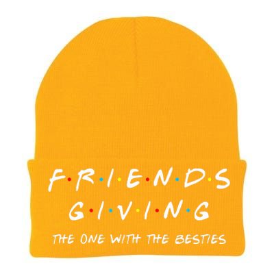 Funny Friendsgiving One With Besties, Friends Thanksgiving Knit Cap Winter Beanie