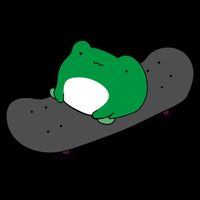 Funny Frog On Skateboard Pom Pom 12in Knit Beanie
