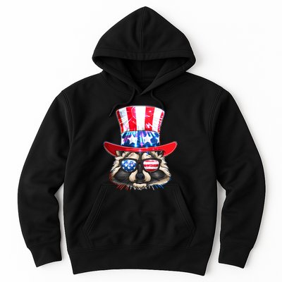 Funny Fourth Of July Fireworks Raccoon Hoodie