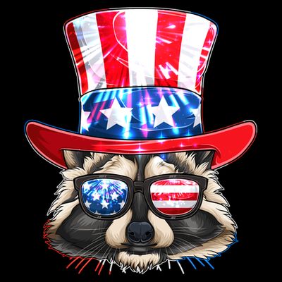 Funny Fourth Of July Fireworks Raccoon T-Shirt