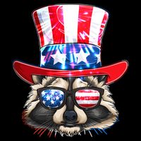 Funny Fourth Of July Fireworks Raccoon Poster