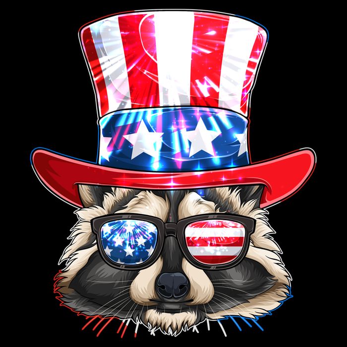Funny Fourth Of July Fireworks Raccoon Poster