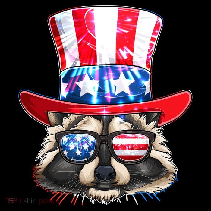 Funny Fourth Of July Fireworks Raccoon Baby Bodysuit