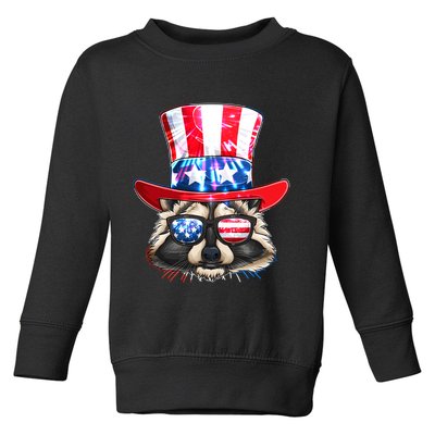 Funny Fourth Of July Fireworks Raccoon Toddler Sweatshirt