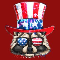 Funny Fourth Of July Fireworks Raccoon V-Neck T-Shirt