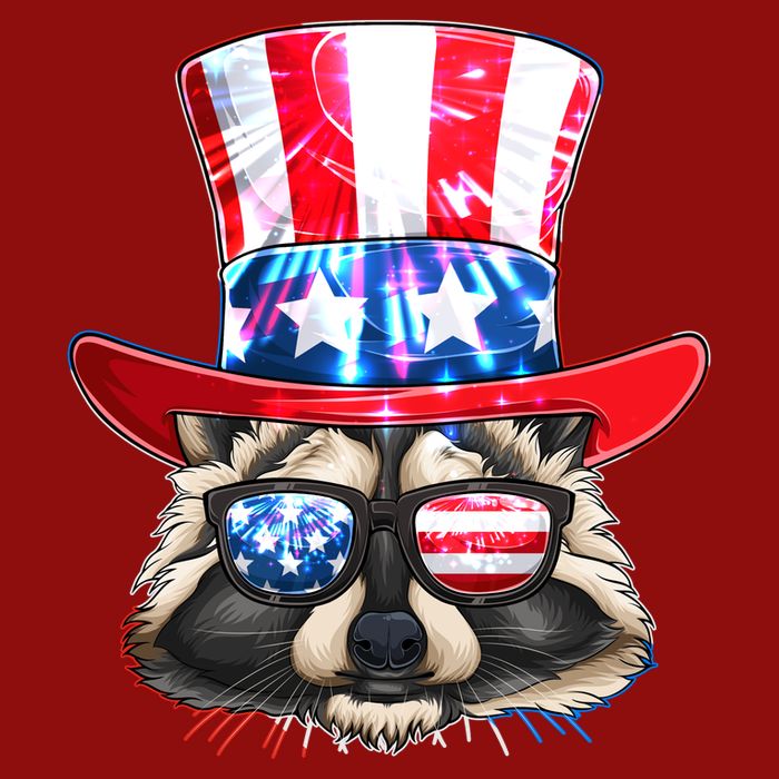 Funny Fourth Of July Fireworks Raccoon V-Neck T-Shirt