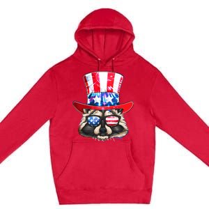 Funny Fourth Of July Fireworks Raccoon Premium Pullover Hoodie