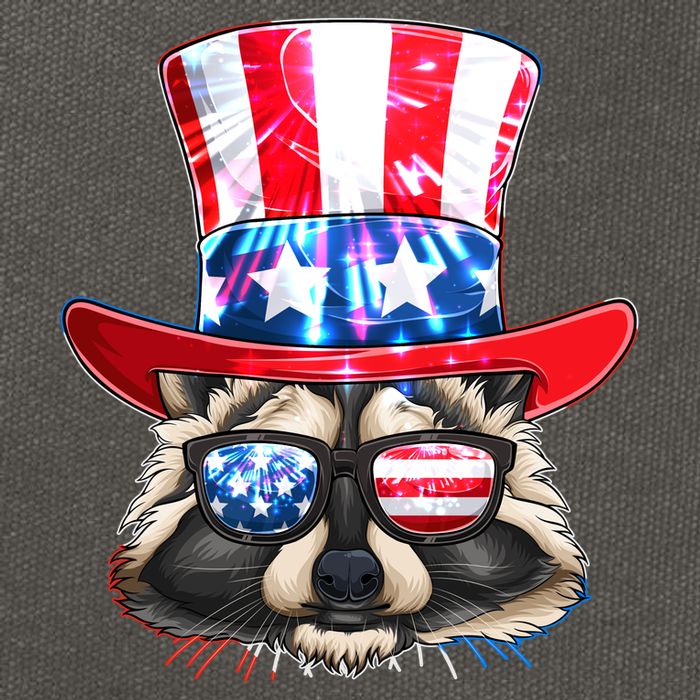 Funny Fourth Of July Fireworks Raccoon Cotton Canvas Backpack