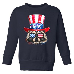 Funny Fourth Of July Fireworks Raccoon Toddler Sweatshirt