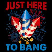 Funny Fourth Of July 4th Of July Just Here To Bang Fireworks Sustainable Beanie