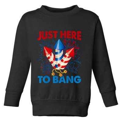 Funny Fourth Of July 4th Of July Just Here To Bang Fireworks Toddler Sweatshirt