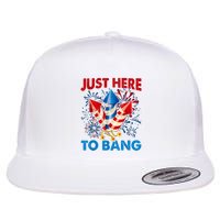 Funny Fourth Of July 4th Of July Just Here To Bang Fireworks Flat Bill Trucker Hat