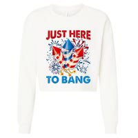 Funny Fourth Of July 4th Of July Just Here To Bang Fireworks Cropped Pullover Crew