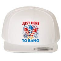 Funny Fourth Of July 4th Of July Just Here To Bang Fireworks Wool Snapback Cap