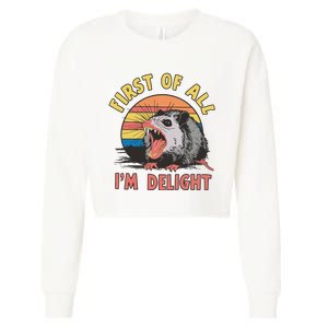 Funny First Of All Im A Delight Possum Meme Cropped Pullover Crew