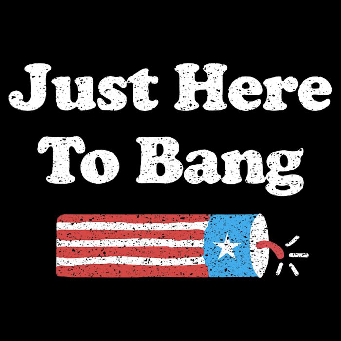 Funny Fourth Of July 4th Of July I'm Just Here To Bang Wool Snapback Cap