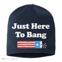 Funny Fourth Of July 4th Of July I'm Just Here To Bang Sustainable Beanie