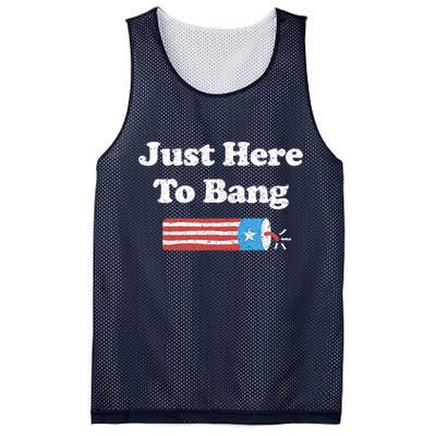 Funny Fourth Of July 4th Of July I'm Just Here To Bang Mesh Reversible Basketball Jersey Tank
