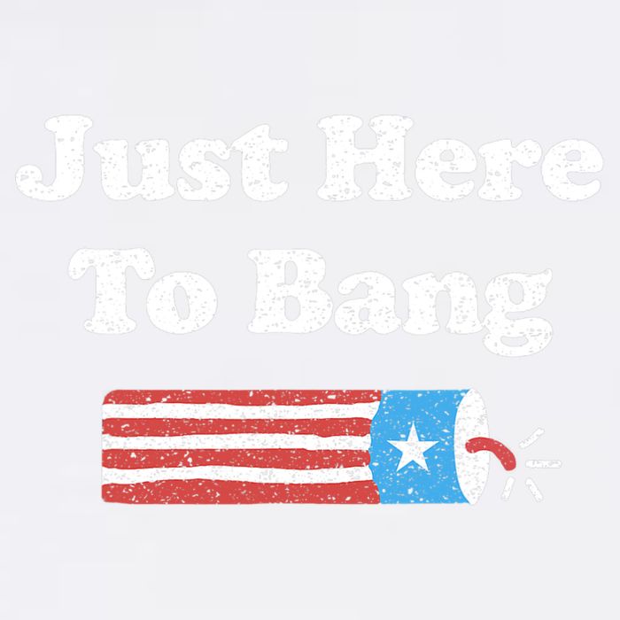 Funny Fourth Of July 4th Of July I'm Just Here To Bang Garment-Dyed Sweatshirt