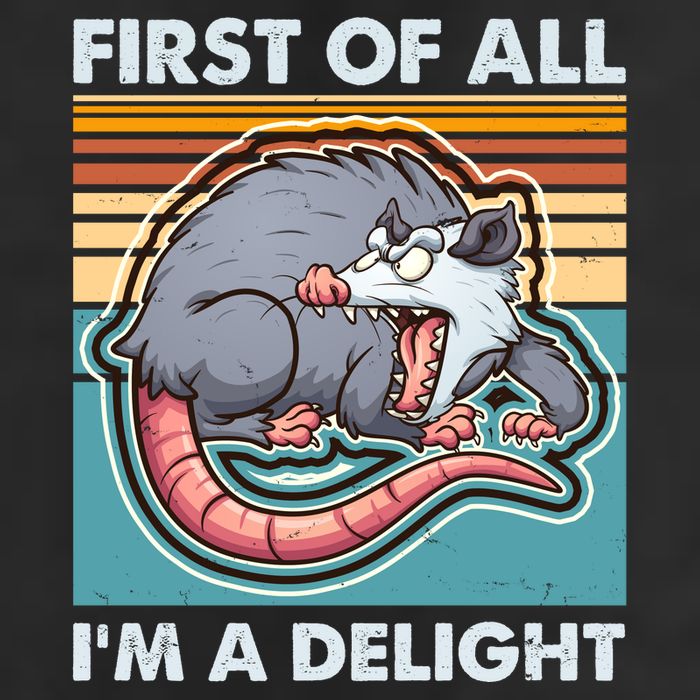 Funny First Of All Im A Delight Screaming Opossum Garment-Dyed Heavyweight T-Shirt