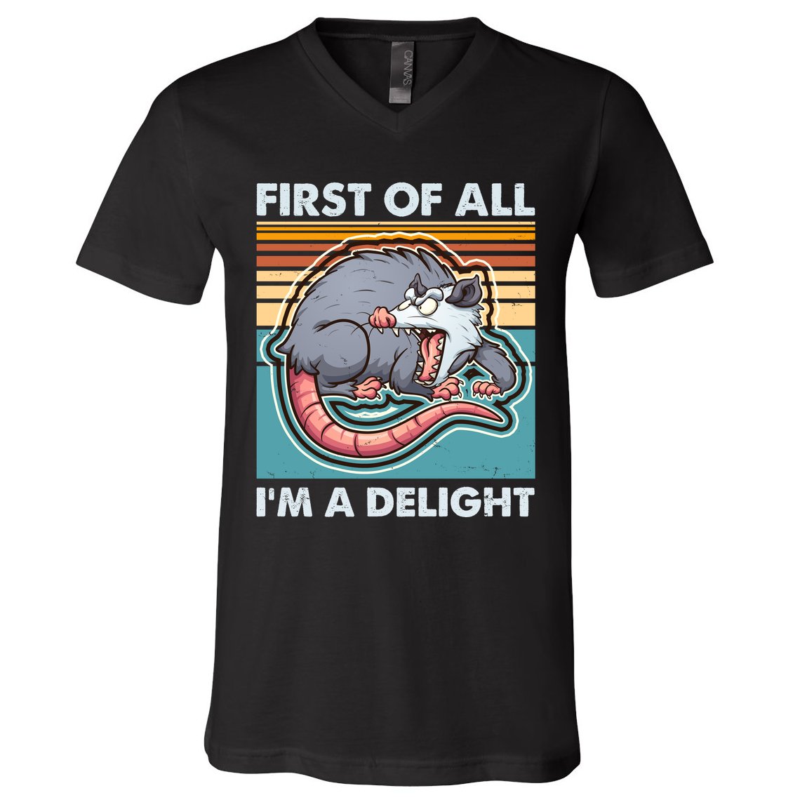 Funny First Of All Im A Delight Screaming Opossum V-Neck T-Shirt