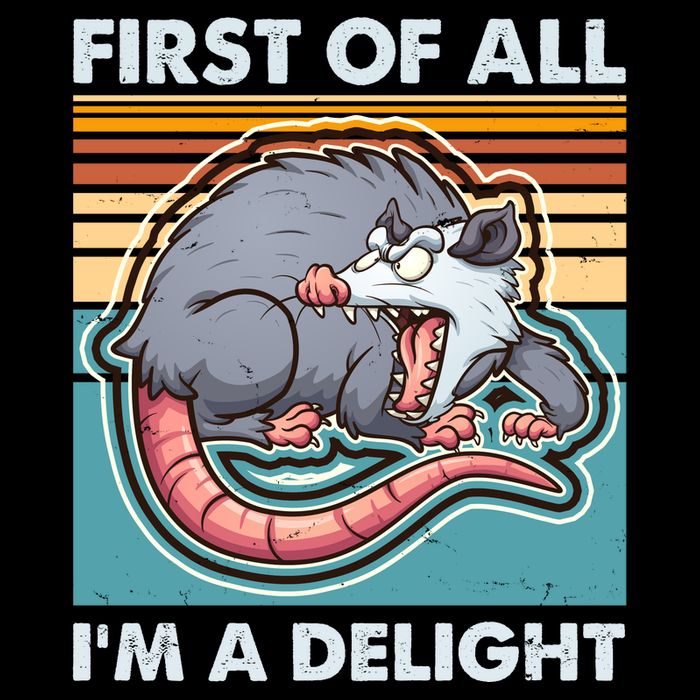 Funny First Of All Im A Delight Screaming Opossum 7-Panel Snapback Hat