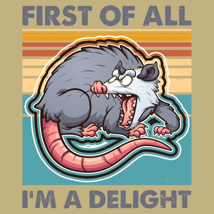 Funny First Of All Im A Delight Screaming Opossum Performance Shirt