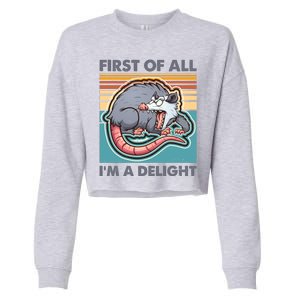 Funny First Of All Im A Delight Screaming Opossum Cropped Pullover Crew