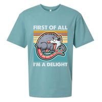 Funny First Of All Im A Delight Screaming Opossum Sueded Cloud Jersey T-Shirt