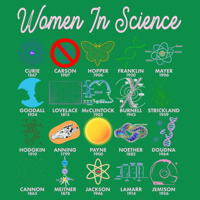 Famous Females Of Science Womens T-Shirt