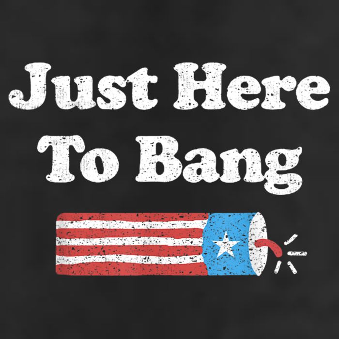 Funny Fourth Of July 4th Of July I'm Just Here To Bang Garment-Dyed Fleece Hoodie