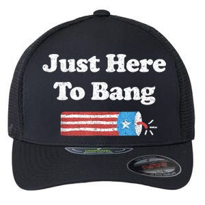 Funny Fourth Of July 4th Of July I'm Just Here To Bang Flexfit Unipanel Trucker Cap