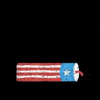 Funny Fourth Of July 4th Of July I'm Just Here To Bang 16oz Travel Tumbler