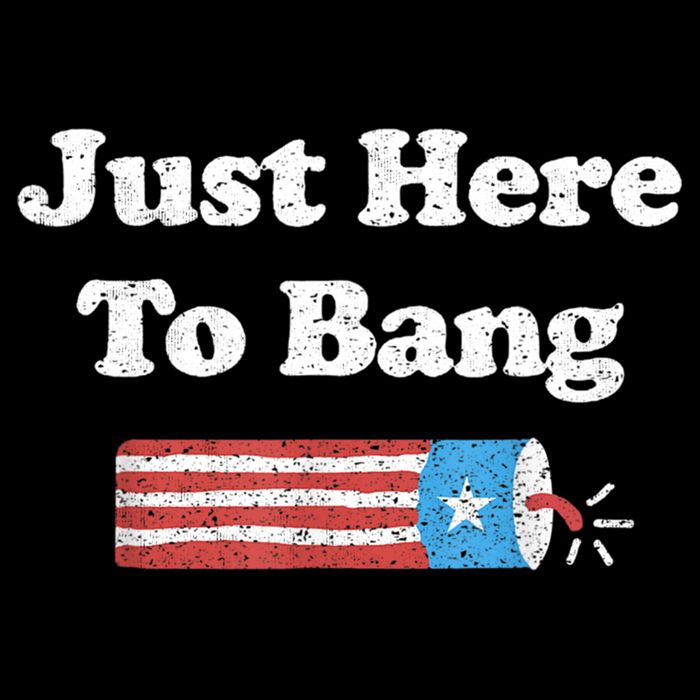 Funny Fourth Of July 4th Of July I'm Just Here To Bang Cropped Pullover Crew
