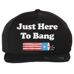 Funny Fourth Of July 4th Of July I'm Just Here To Bang Wool Snapback Cap