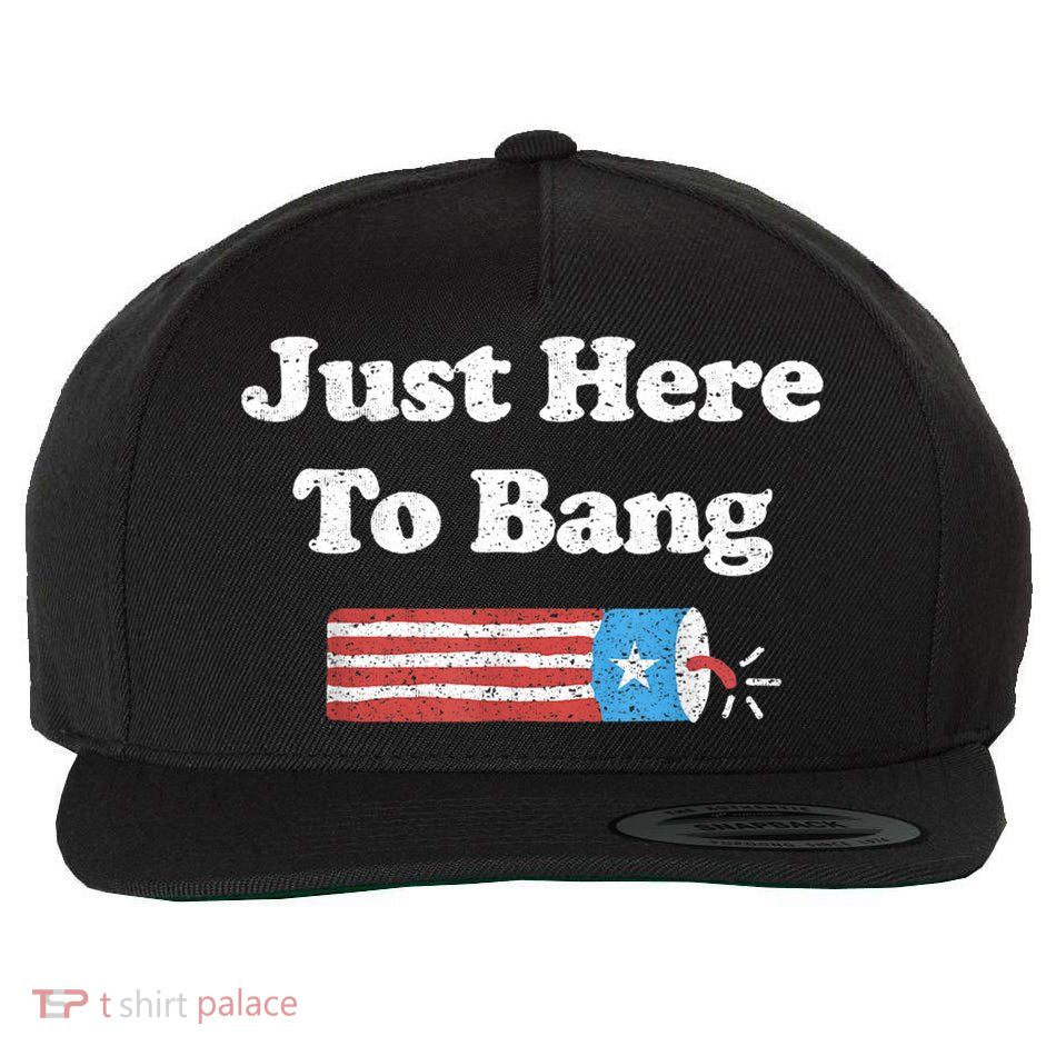 Funny Fourth Of July 4th Of July I'm Just Here To Bang Wool Snapback Cap