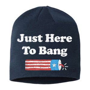 Funny Fourth Of July 4th Of July I'm Just Here To Bang Sustainable Beanie