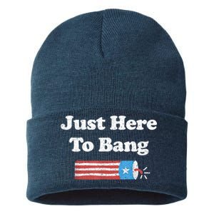 Funny Fourth Of July 4th Of July I'm Just Here To Bang Sustainable Knit Beanie