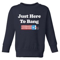 Funny Fourth Of July 4th Of July I'm Just Here To Bang Toddler Sweatshirt