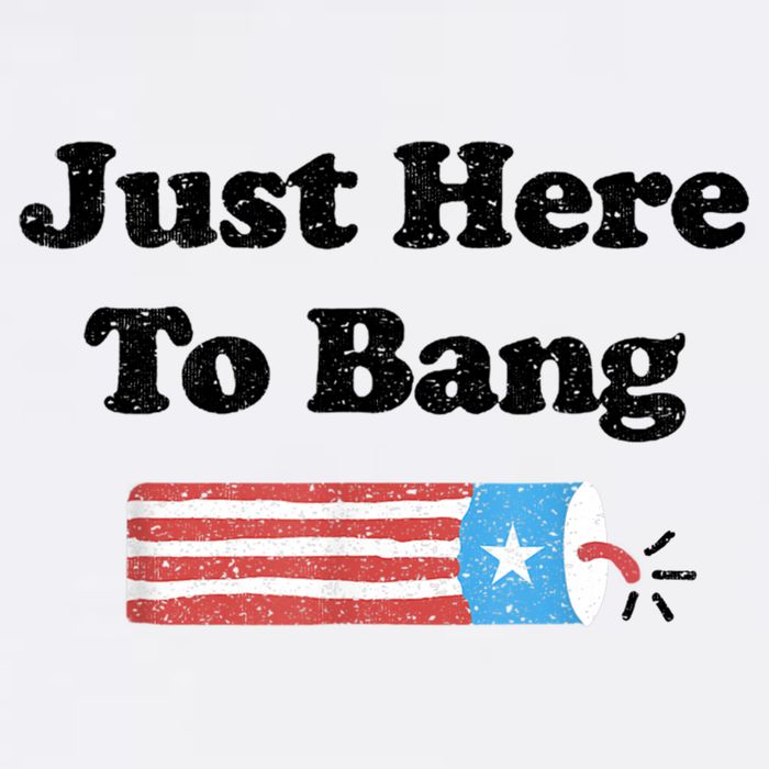 Funny Fourth Of July 4th Of July I'm Just Here To Bang Garment-Dyed Sweatshirt