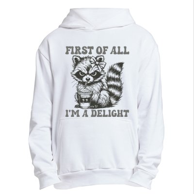 Funny First Of All I Am A Delight Sarcastic Angry Opossum Urban Pullover Hoodie