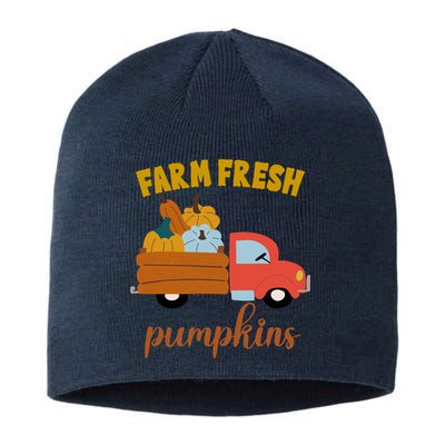 Farm Fresh Pumpkins Fall Vintage Truck Sustainable Beanie