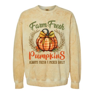 Farm Fresh Pumpkins Fun Autumn Halloween Thanksgiving Fall Colorblast Crewneck Sweatshirt