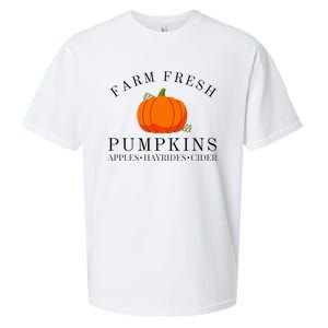 Farm Fresh Pumpkins Apples Hayrides Cider Thanksgiving Fall Sueded Cloud Jersey T-Shirt